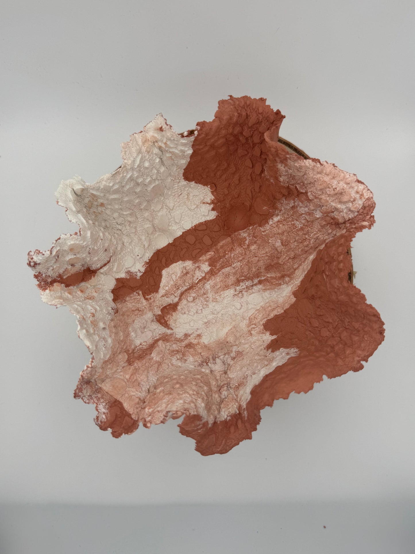 Heritage No.3: Bowl